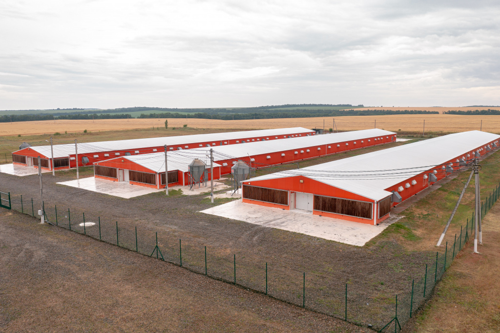 DJI_0222.jpg